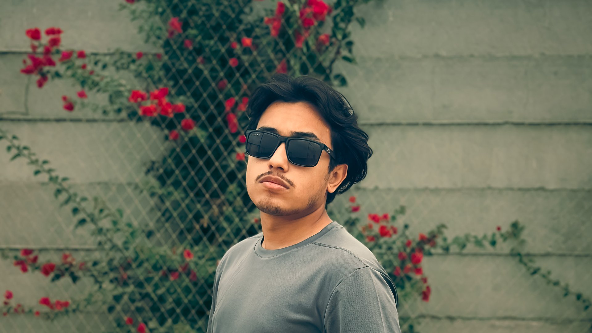 Ali Siddiqui